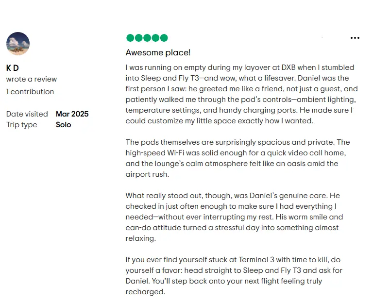 review 8 