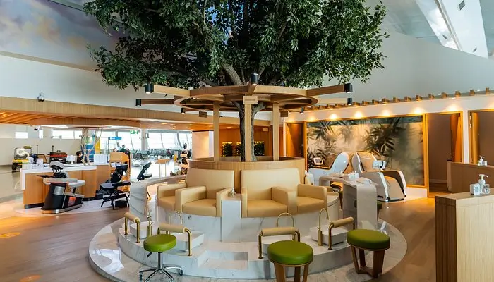 world of wellness